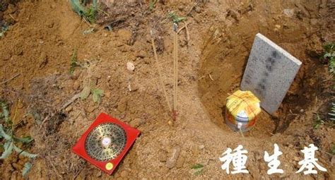 種生基代價|揭密生基價格、造生基費用！種生基效果有哪些｜潘智航風水科